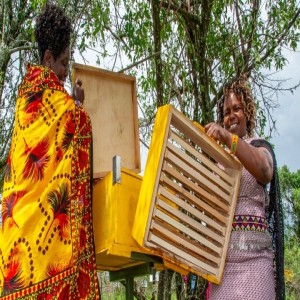 Economic Empowerment & Livelihoods